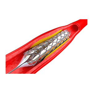 shop-06-new
